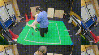InterPet4D
